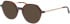 Morgan 202040 sunglasses in Brown