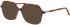 Morgan 202041 sunglasses in Brown