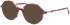 Morgan 202042 sunglasses in Brown/Purple