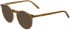 Jaguar 1448 sunglasses in Brown