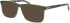 Jaguar 31034 sunglasses in Green/Brown
