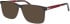 Jaguar 31034 sunglasses in Brown/Red