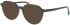 Jaguar 31531 sunglasses in Brown