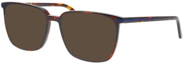 Jaguar 31532 sunglasses in Brown/Blue
