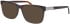 Jaguar 32011 sunglasses in Brown