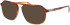 Jaguar 32507 sunglasses in Brown