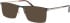 Jaguar 33127 sunglasses in Black/Gold