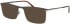 Jaguar 33128-57 sunglasses in Brown
