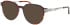 Jaguar 36841 sunglasses in Brown