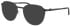 Jaguar 36843 sunglasses in Black