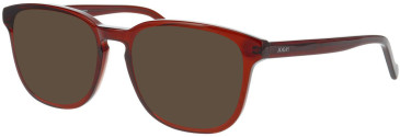 Joop 81245 sunglasses in Brown