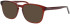 Joop 81245 sunglasses in Brown