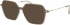 Menrad 16082 sunglasses in Khaki