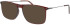 Menrad 16083 sunglasses in Brown