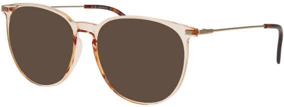 Menrad 16084 sunglasses in Orange