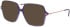 Menrad 16090 sunglasses in Purple