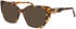 Morgan 200001 sunglasses in Brown