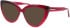 Morgan 200002 sunglasses in Red