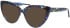 Morgan 200002 sunglasses in Blue Pattern