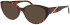 Morgan 200004 sunglasses in Brown