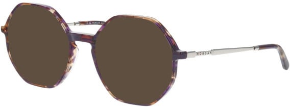 Morgan 202038 sunglasses in Brown/Purple