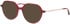 Morgan 202039 sunglasses in Red/Purple