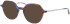 Morgan 202040 sunglasses in Purple/Brown Pattern