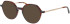 Morgan 202040 sunglasses in Brown