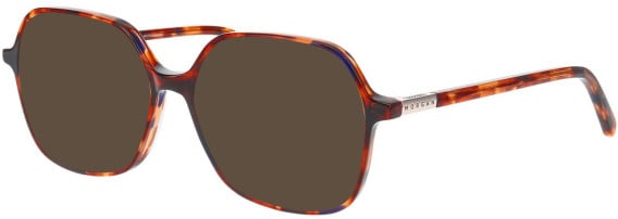 Morgan 202041 sunglasses in Brown