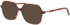 Morgan 202041 sunglasses in Brown