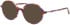 Morgan 202042 sunglasses in Brown/Purple