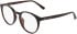 Calvin Klein CK20527 glasses in Dark Havana