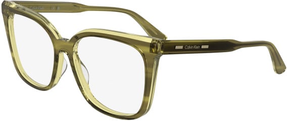 Calvin Klein CK25511 glasses in Striped Khaki