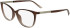 Calvin Klein CK25512 glasses in Transparent Brown/Rose