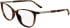 Calvin Klein CK25512 glasses in Havana
