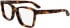 Calvin Klein CK25516 glasses in Havana