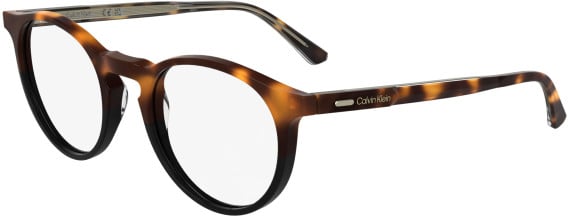 Calvin Klein CK25518 glasses in Havana/Black