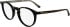 Calvin Klein CK25518 glasses in Dark Havana