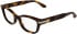 Calvin Klein CK25541 glasses in Havana