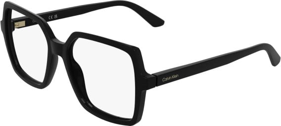 Calvin Klein CK25547 glasses in Black