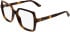 Calvin Klein CK25547 glasses in Havana