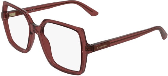 Calvin Klein CK25547 glasses in Transparent Red