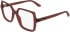 Calvin Klein CK25547 glasses in Transparent Red