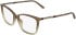 Calvin Klein CK26509 glasses in Transparent Gradient Brown