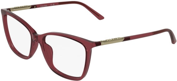 Calvin Klein CK26509 glasses in Transparent Burgundy