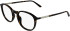 Calvin Klein CK26511 glasses in Havana