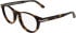 Calvin Klein CK26513 glasses in Havana