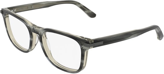 Calvin Klein CK26514 glasses in Transparent Striped Gray