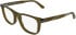 Calvin Klein CK26514 glasses in Transparent Olive