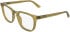 Calvin Klein CK26519 glasses in Transparent Honey